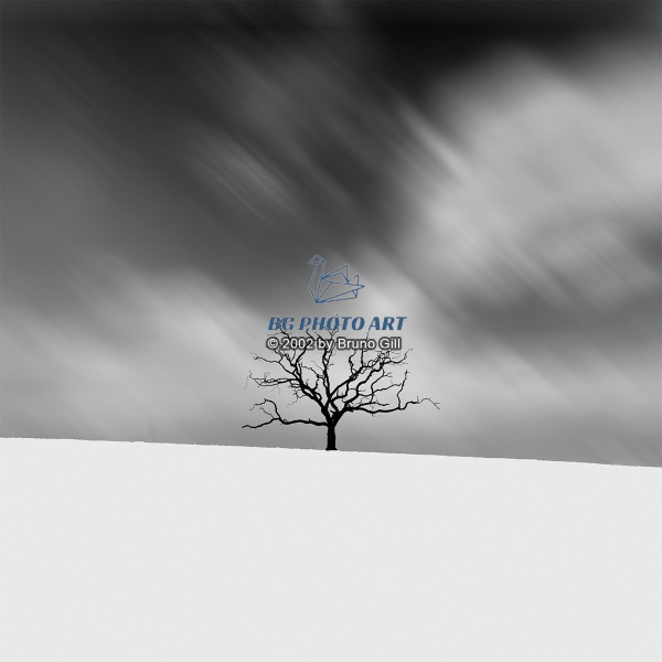 C Carré #1 Winter Solitude