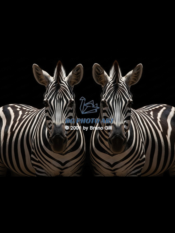 Animals #3TWIN BROTHERS